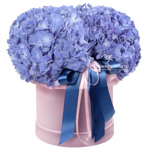 Box with hydrangeas